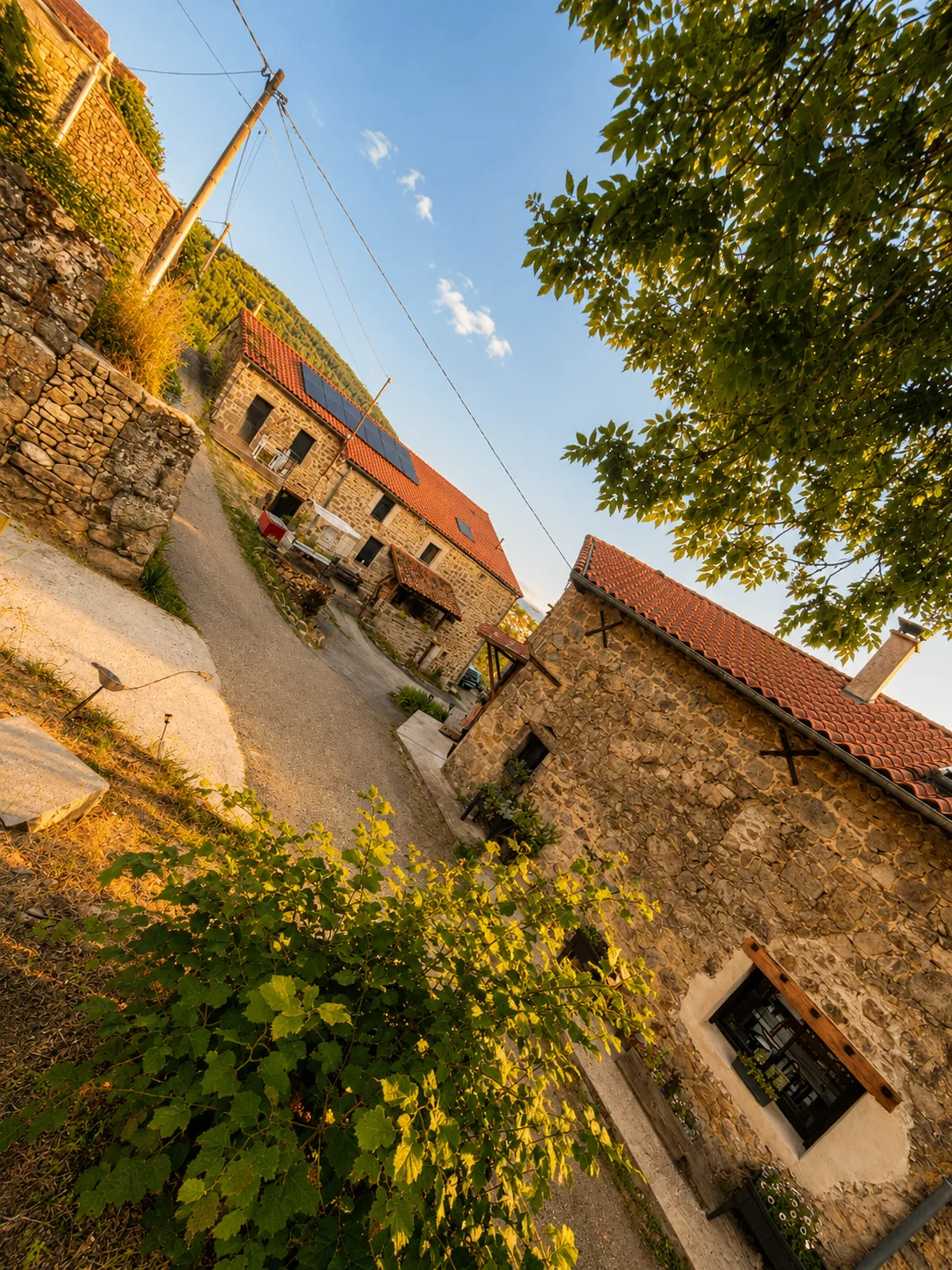Domaine de caractère au cœur du Parc naturel régional du Pilat — Deux bâtisses en pierre · 328 m² · Gîtes · Spa · Rentabilité immédiate
