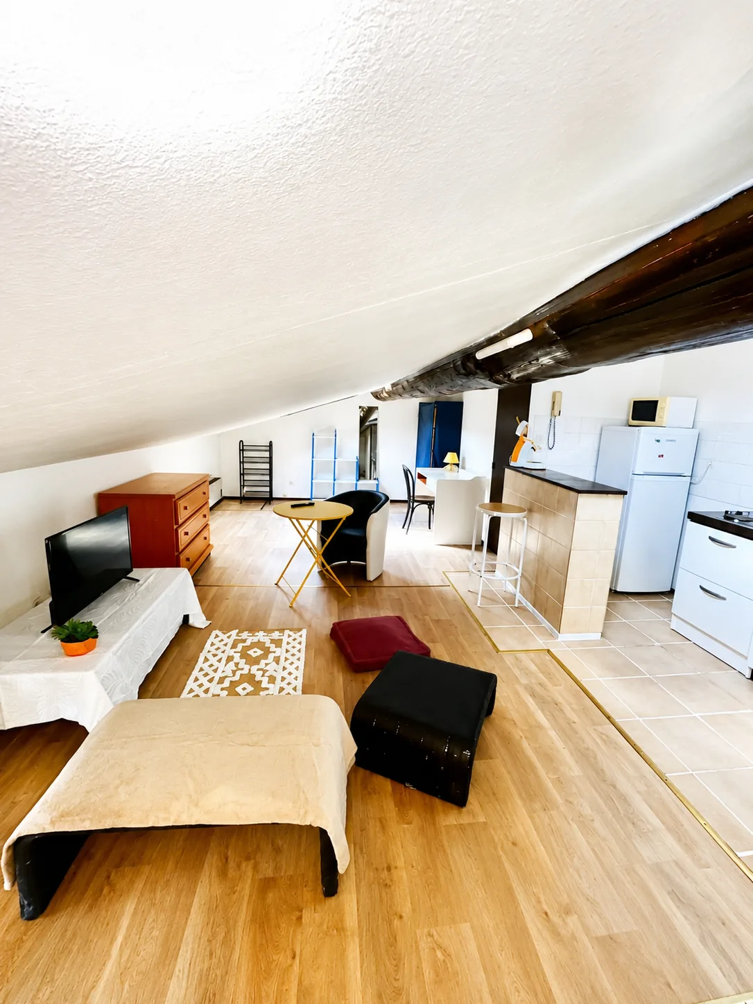 Studio meublé sous les toits — 37 m² au sol / 14,36 m² Carrez — Saint-Étienne
